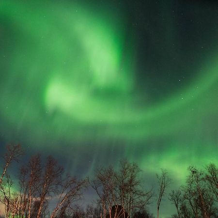 Ofelas Islandshaestar & Guideservice Kiruna Exteriér fotografie