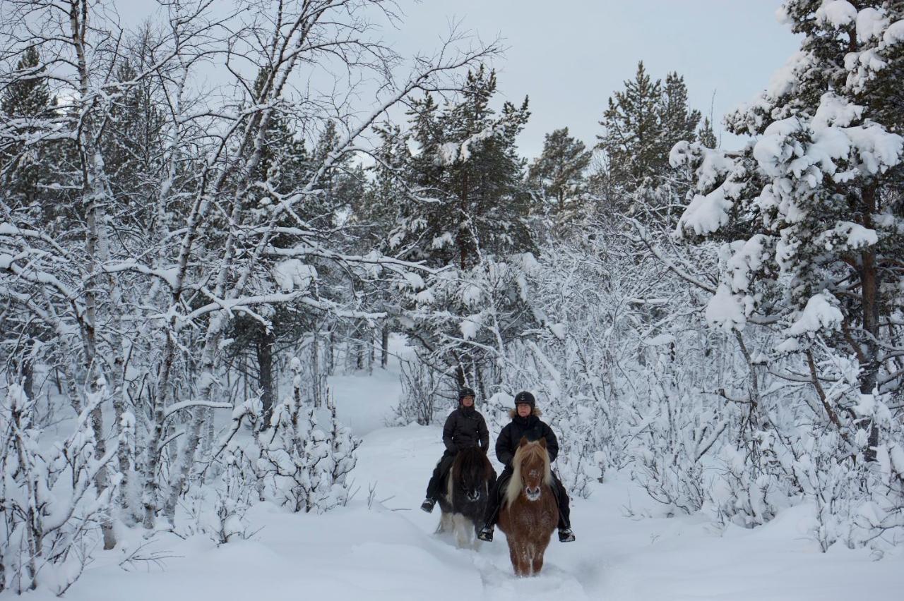 Ofelas Islandshaestar & Guideservice Kiruna Exteriér fotografie