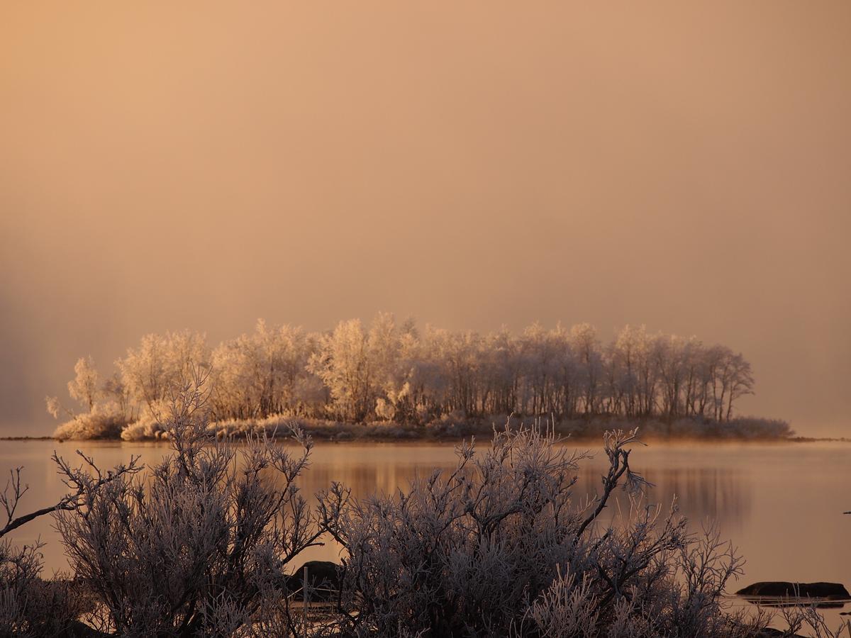Ofelas Islandshaestar & Guideservice Kiruna Exteriér fotografie