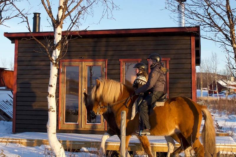 Ofelas Islandshaestar & Guideservice Kiruna Exteriér fotografie